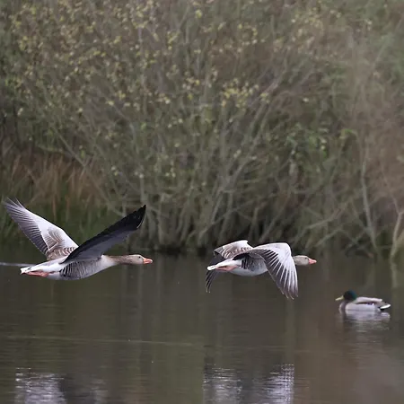 Casa vacanze Antoniushofke