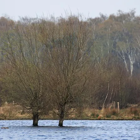 Antoniushofke * אסטן