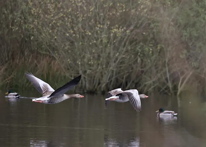 Σπίτι διακοπών Antoniushofke