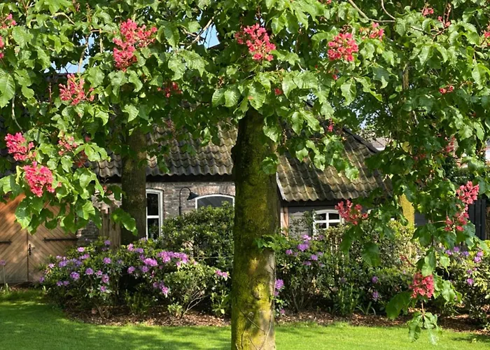 Antoniushofke Άστεν