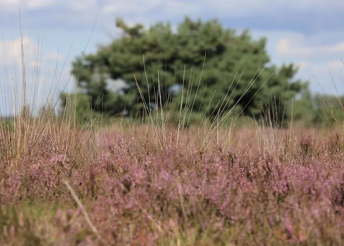 Antoniushofke * Asten