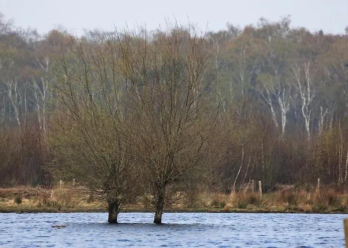 Antoniushofke * Άστεν