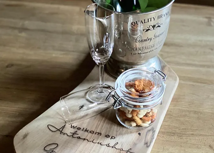 Antoniushofke Σπίτι διακοπών Άστεν